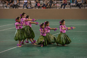 Hula Competition 2013 4